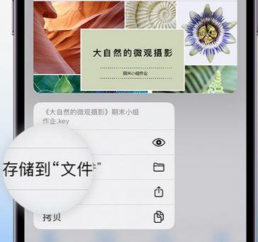 雅星镇apple维修中心分享iPhone文件应用中存储和找到下载文件