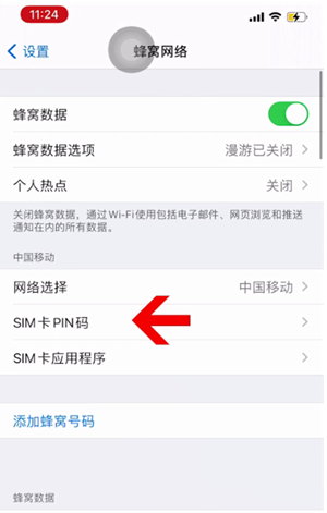 雅星镇苹果14维修网分享如何给iPhone14的SIM卡设置密码 