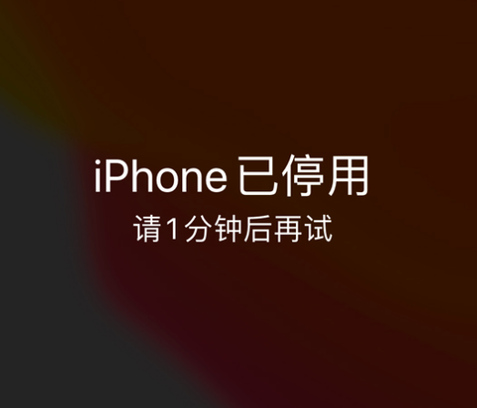 雅星镇苹果手机维修分享:iPhone 显示“不可用”或“已停用”怎么办？还能保留数据吗？ 