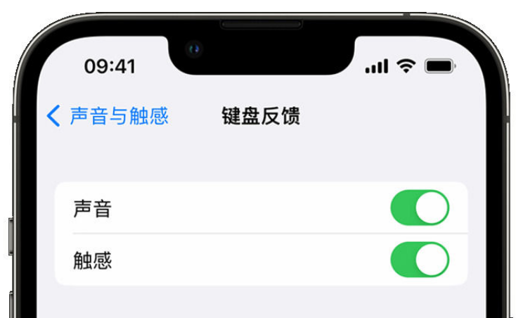 雅星镇苹果手机维修分享iPhone 14触感键盘使用方法 