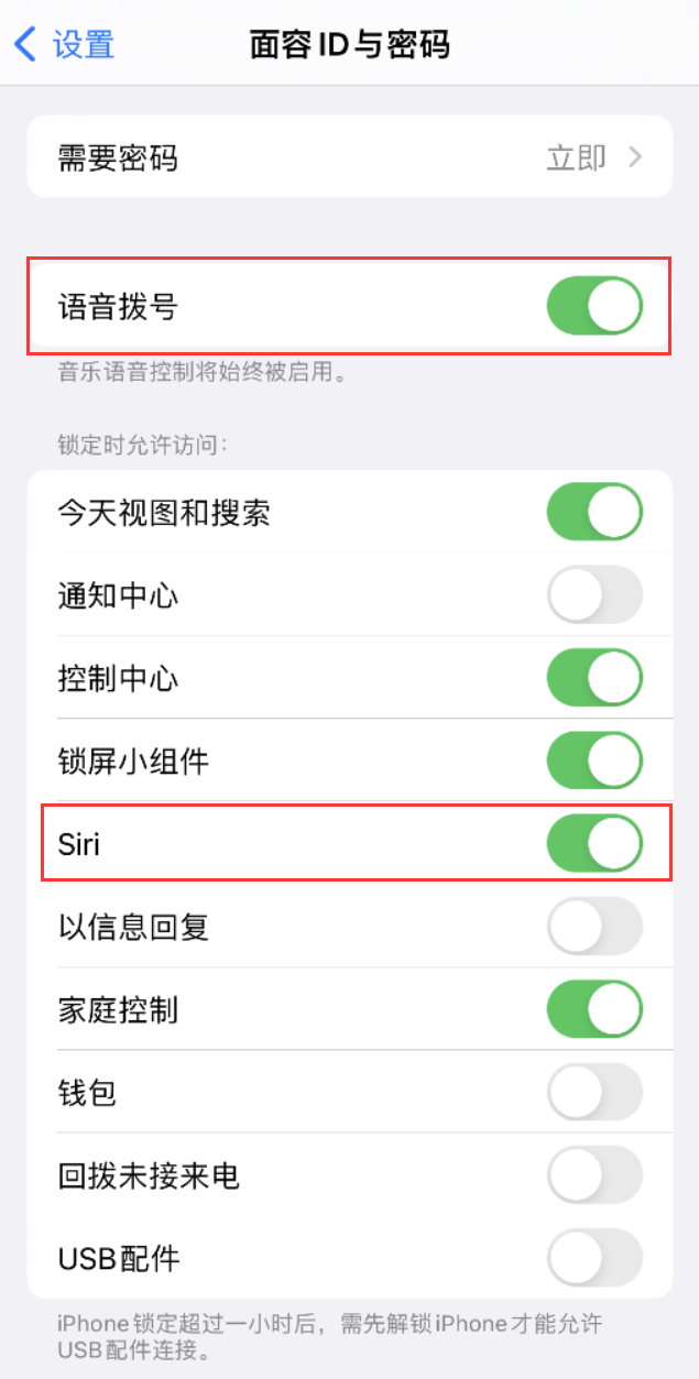 雅星镇苹果维修网点分享不解锁 iPhone 的情况下通过 Siri 拨打电话的方法 