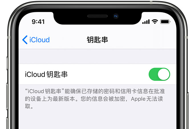 雅星镇苹果手机维修分享在 iPhone 上开启 iCloud 钥匙串之后会储存哪些信息 